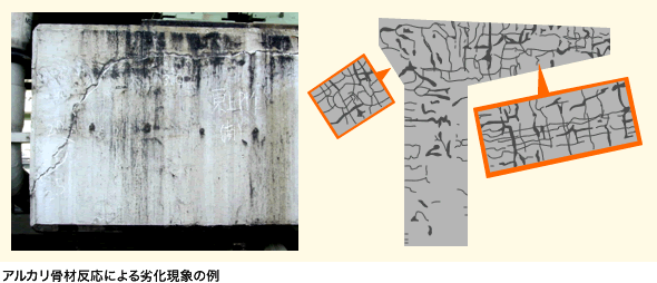図：アルカリ骨材反応による劣化現象の例