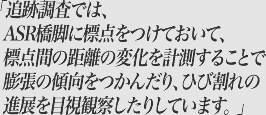 追跡調査では、ASR橋脚に標点をつけておいて、標点間の距離の変化を計測することで膨張の傾向をつかんだり、ひび割れの進展を目視観察したりしています。