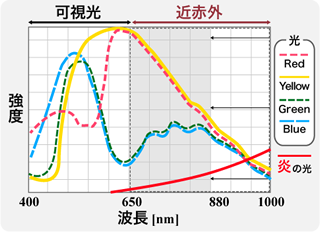 新規開発フィルター