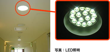 写真：LED照明
