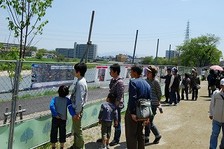 つつじの通り抜け4