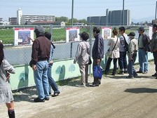 つつじの通り抜け1