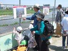 つつじの通り抜け3