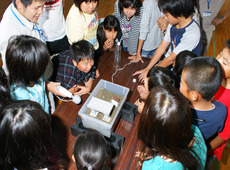 写真:液状化実験の様子