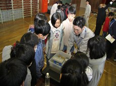写真:液状化実験