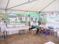 水辺の楽校 展示