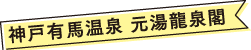 神戸有馬温泉 元湯龍泉閣