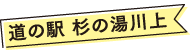 道の駅 杉の湯川上