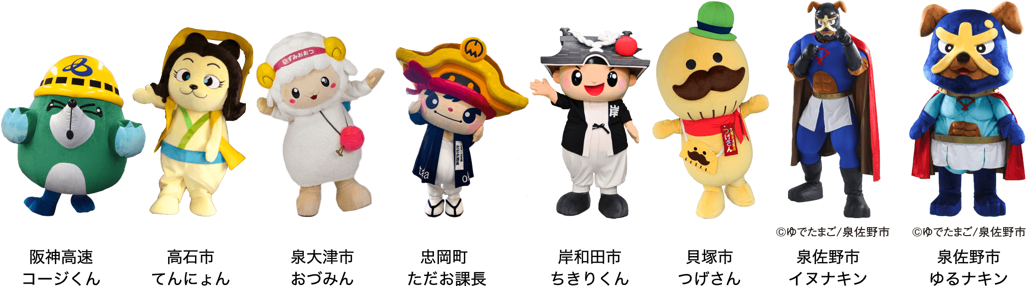 阪神高速：コージくん 高石市：てんにょん 泉大津市：おづみん 忠岡町：ただお課長 岸和田市：ちきりくん 貝塚市：つげさん 泉佐野市：イヌナキン 泉佐野市：ゆるナキン