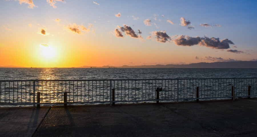 忠岡新浜緑地