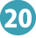 (20)