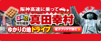 阪神高速に乗って るるぶ特別編集 真田幸村 ゆかりの地ドライブ 電子ブックで読む