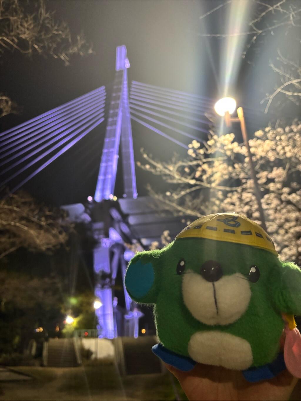 橋がライトアップされてるよ✨