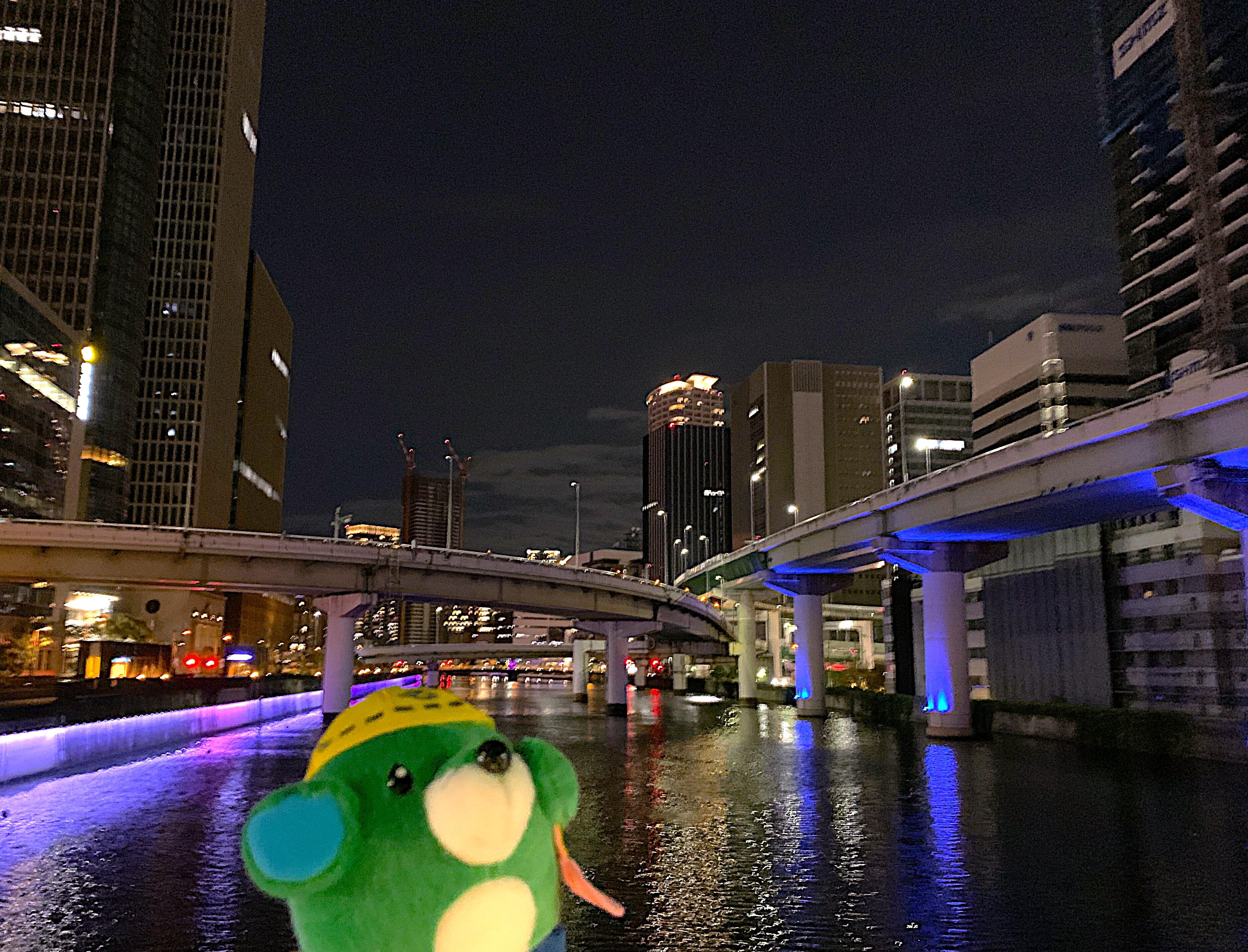 ライトアップでキラキラ✨