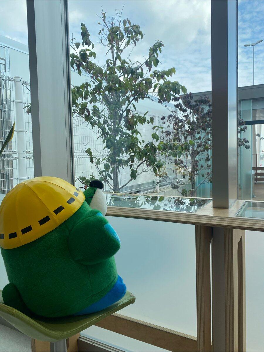 南芦屋浜PAにもぐる！