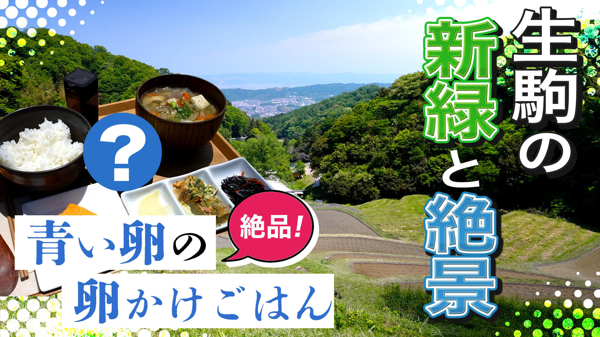 dorachan_250530.jpg